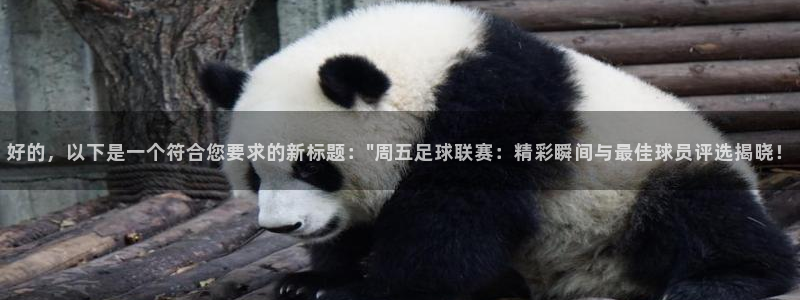  vsport体育：好的，以下是一个符合您要求的新标题：\