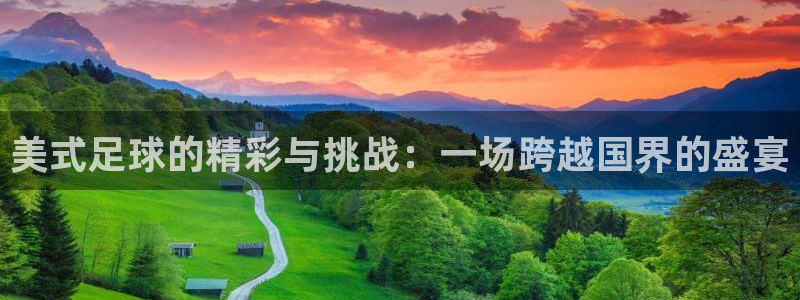 vsport体育平台app：美式足球的精彩与挑战：一场跨越国