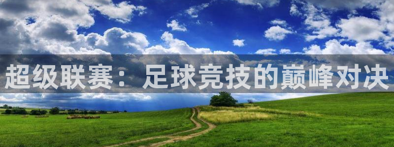 vsport体育在线官网：超级联赛：足球竞技的巅峰对决