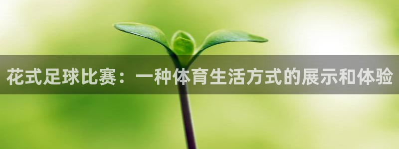  vsport体育阿根廷：花式足球比赛：一种体育生活方式的展示