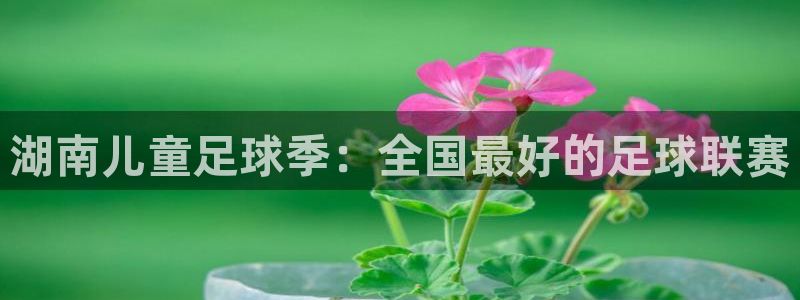 Vsport体育官方网站入口：湖南儿童足球季：全国最好的足球