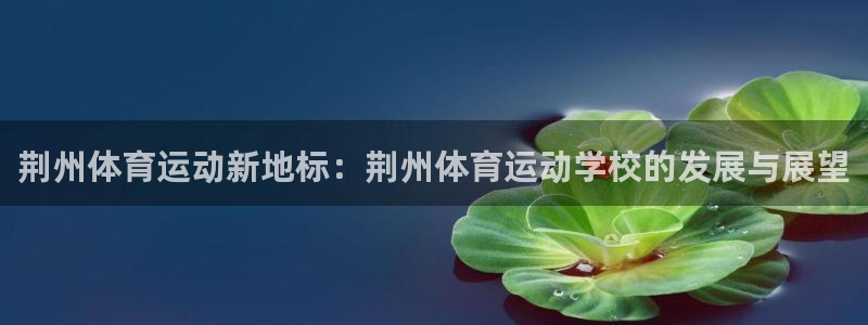 vsport体育在线官网