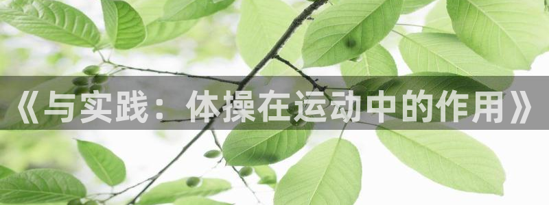 vsport体育：《与实践：体操在运动中的作用》