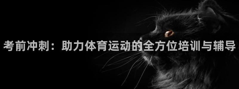 vsport体育在线官网：考前冲刺：助力体育运动的全方位培训与辅导